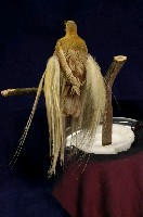 Lesser bird-of-paradise Collection Image, Figure 6, Total 9 Figures